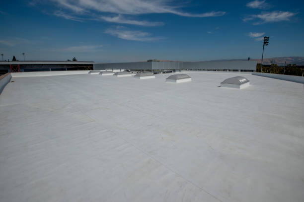 Best Roof Insulation Installation  in Radisson, NY