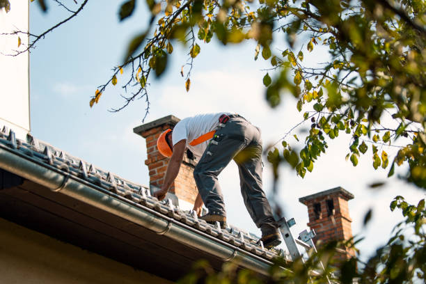Best Solar Panel Roofing Installation  in Radisson, NY