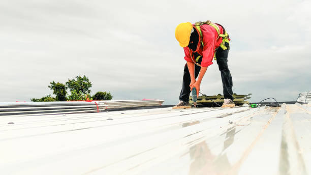 Best Skylight Installation and Repair  in Radisson, NY