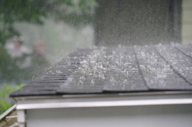 Best Asphalt Shingle Roofing  in Radisson, NY
